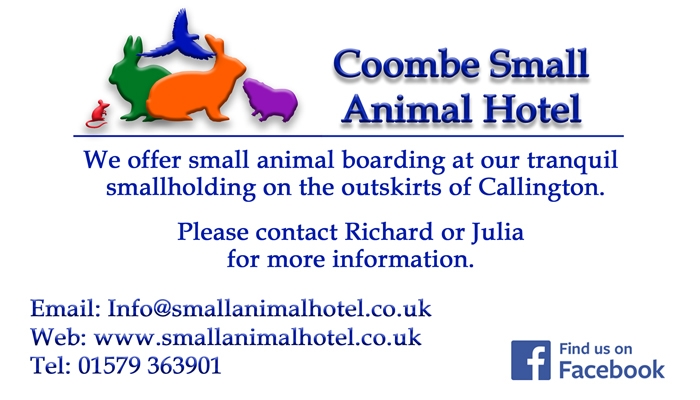Coombe Small Animal Hotel